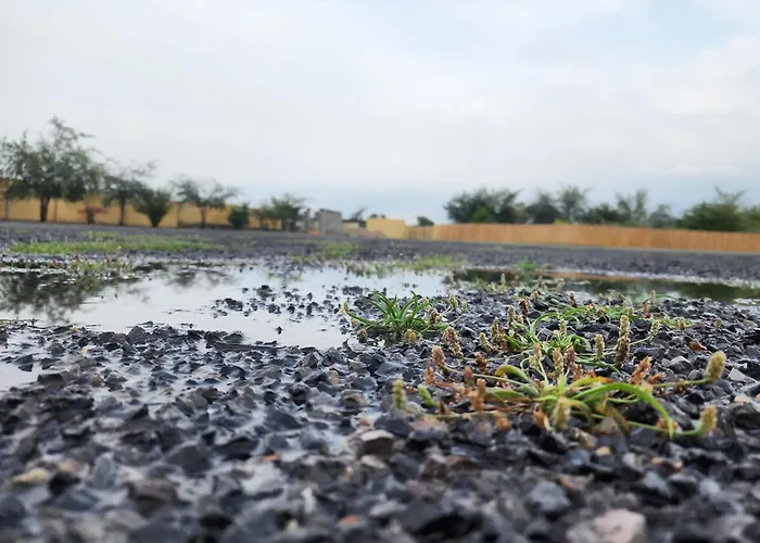 استراحه الليوان Alliwan Rak 1