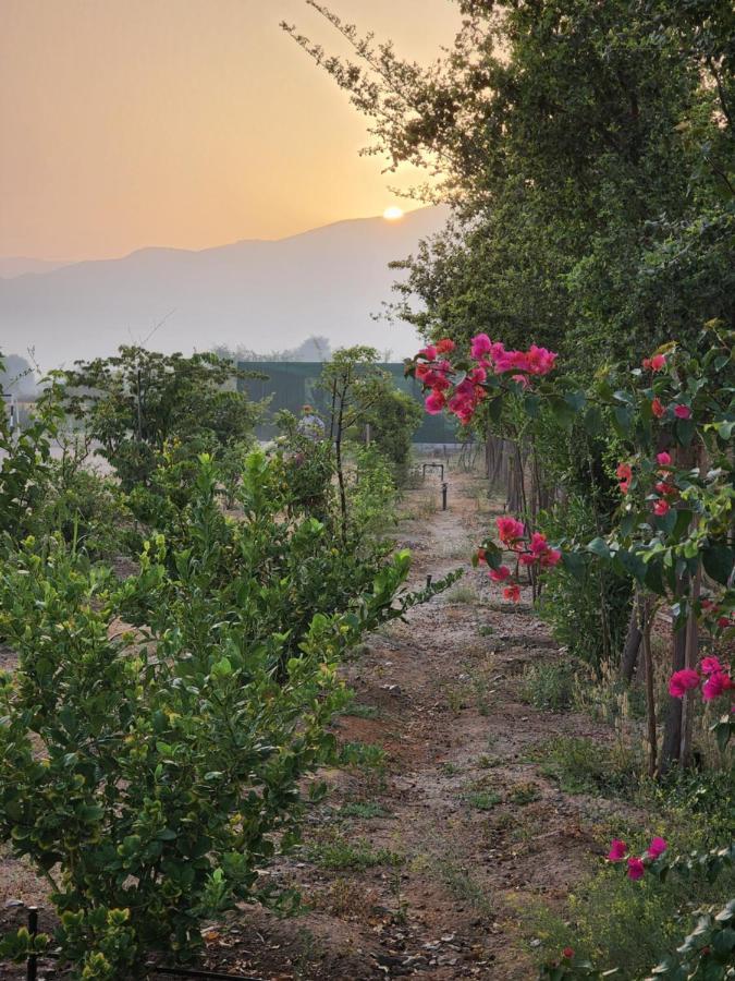 استراحه الليوان Alliwan Rak 1 Farm stay Ras al-Khaimah