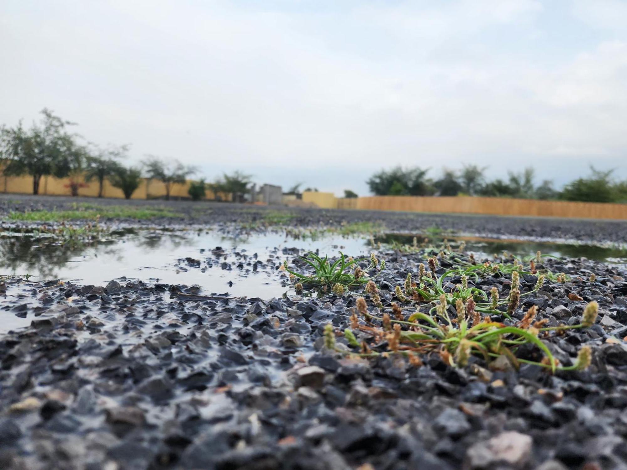 Farm stay استراحه الليوان Alliwan Rak 1