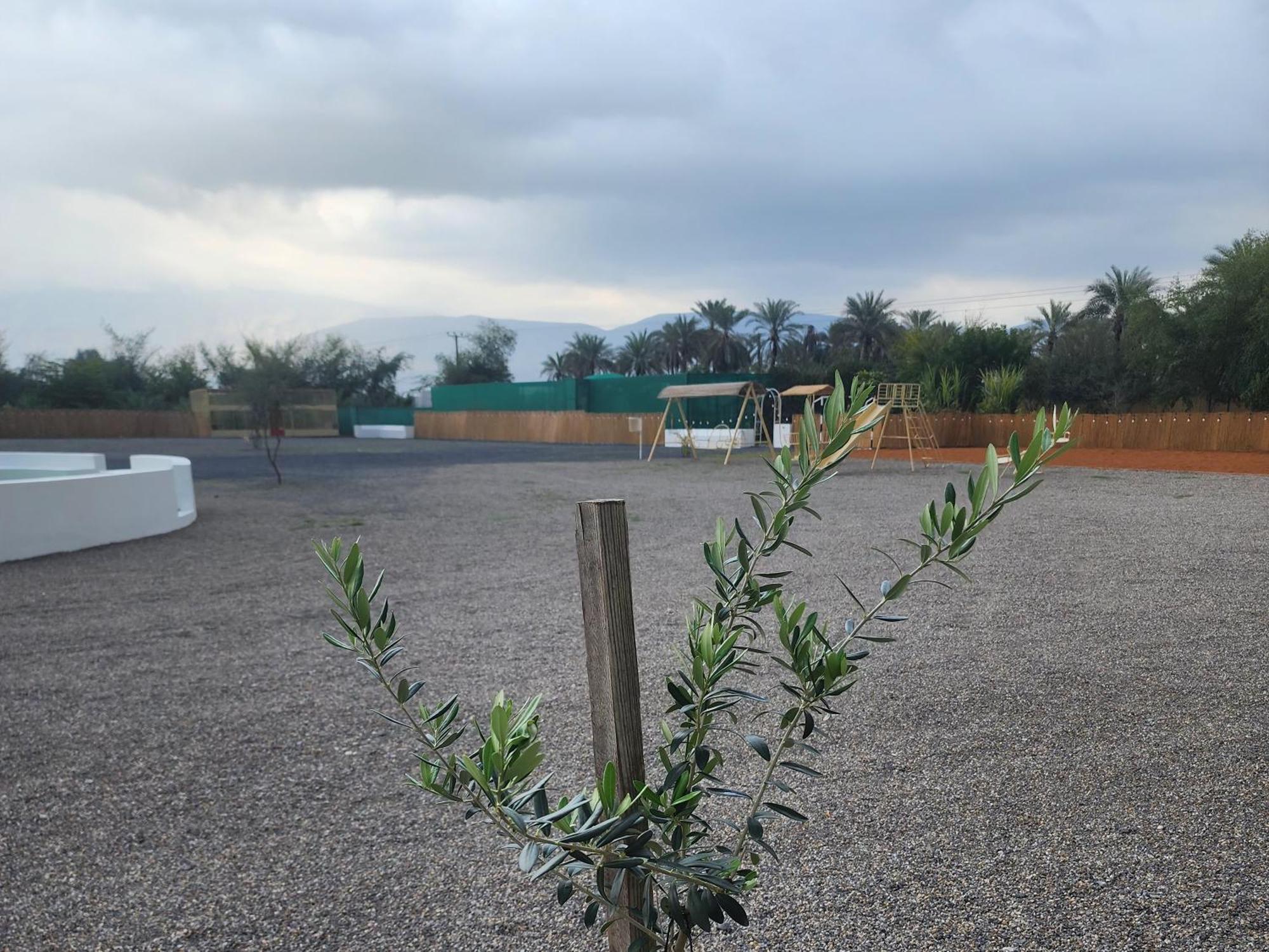 استراحه الليوان Alliwan Rak 1 Farm stay *