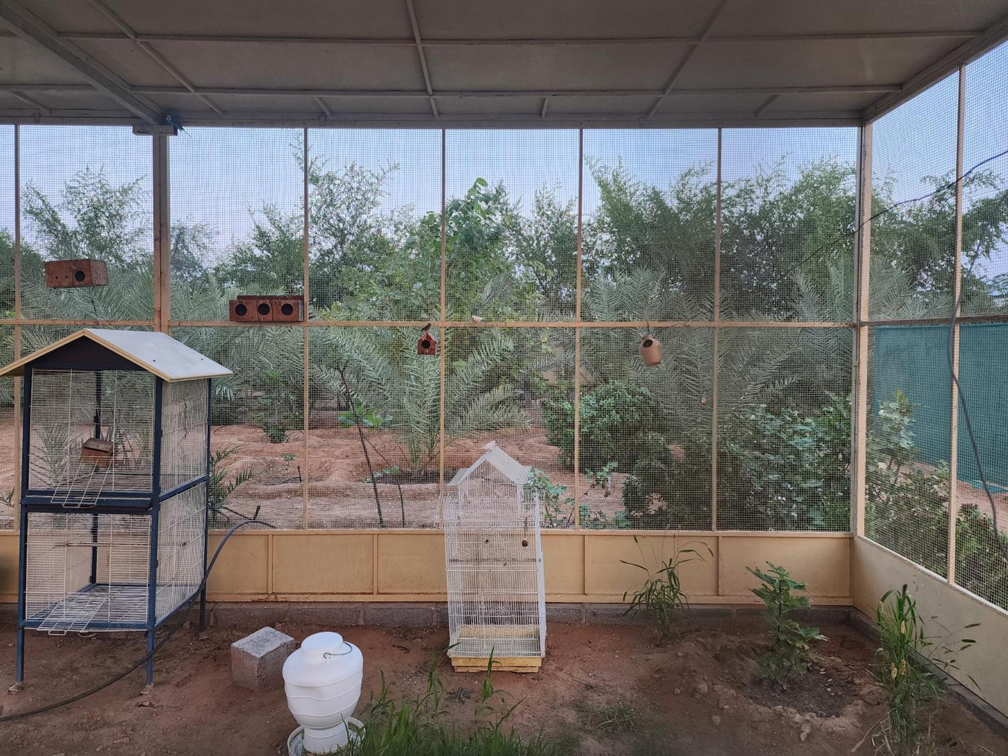 Farm stay استراحه الليوان Alliwan Rak 1