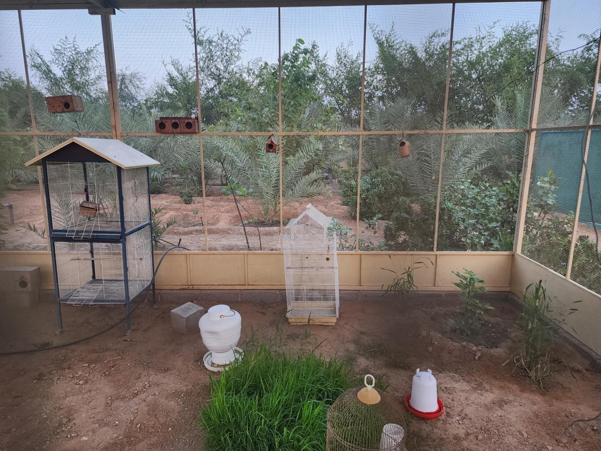 استراحه الليوان Alliwan Rak 1 Farm stay *