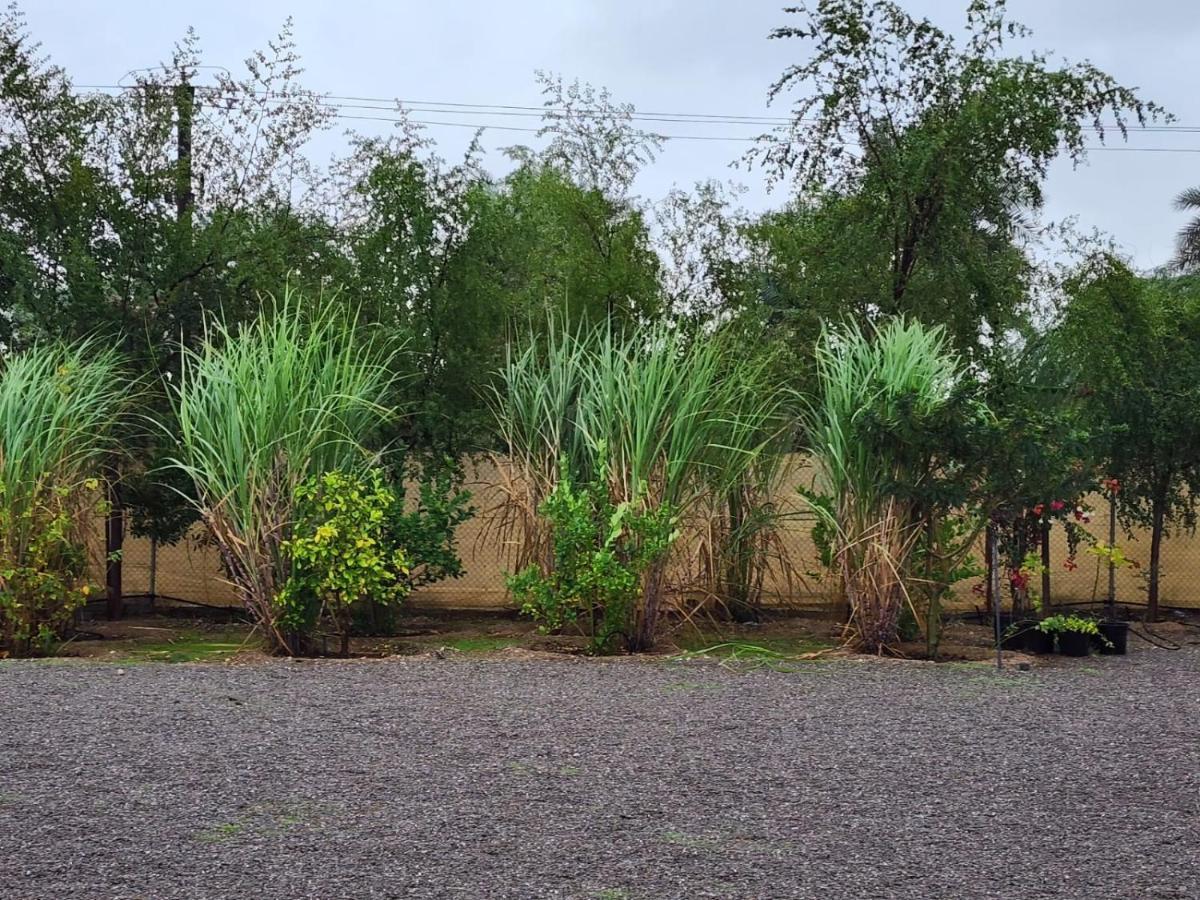 استراحه الليوان Alliwan Rak 1 Farm stay